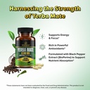 extra-strength-yerba-mate-high-potency-6-3.jpg