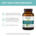 himalaya-citrus-bergamot-herbal-suppleme-4.jpg