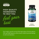 swanson-gaba-amino-acid-supplement-promo-5.jpg