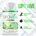2-pack-lipovive-capsules-official-lipovi-4.jpg