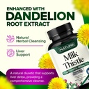 built-by-nature-milk-thistle-liver-detox-4.jpg