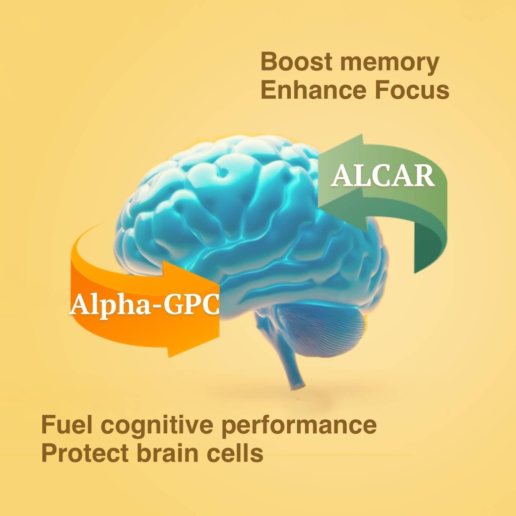 brain-supplement-for-memory-and-focus-no-2.jpg