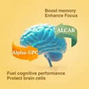 brain-supplement-for-memory-and-focus-no-2.jpg