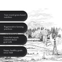 mt-capra-focus-elevate-cognitive-perform-6.jpg