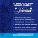focus-fast-brain-supplement-improve-work-5.jpg