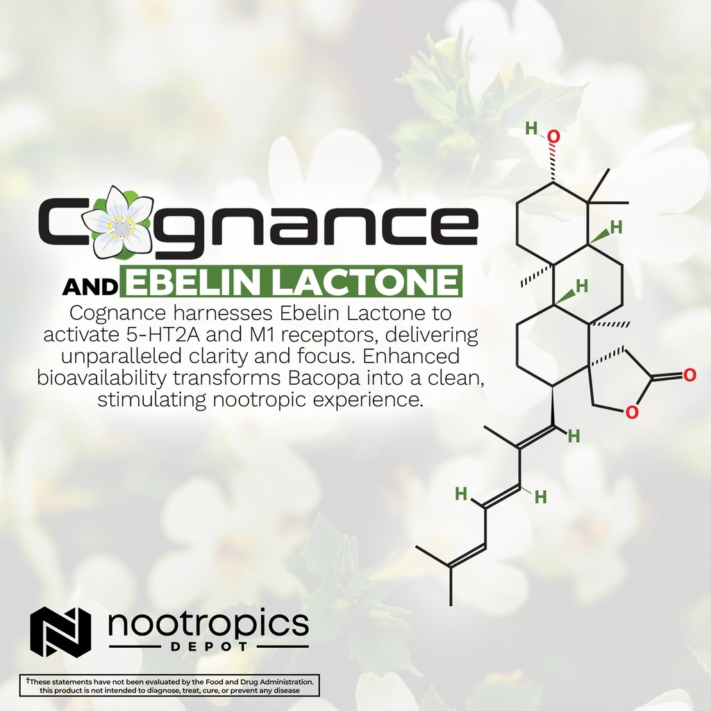nootropics-depot-cognance-enhanced-bacop-5.jpg