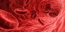 memory-hack-restore-brain-body-blood-flo-2.jpg