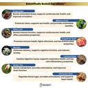 memory-hack-max-brain-support-supplement-6.jpg
