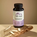 terra-origin-multi-symptom-menopause-sup-3.jpg