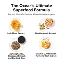 innosupps-wild-sea-moss-capsules-immune--5.jpg
