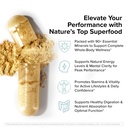 innosupps-wild-sea-moss-capsules-immune--4.jpg