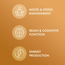 dr-mercola-organic-maca-supports-energy--4.jpg