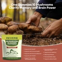 mushroom-gummies-16-in-1-mushroom-blend--4.jpg
