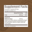 om-mushroom-superfood-brain-fuel-mushroo-5.jpg