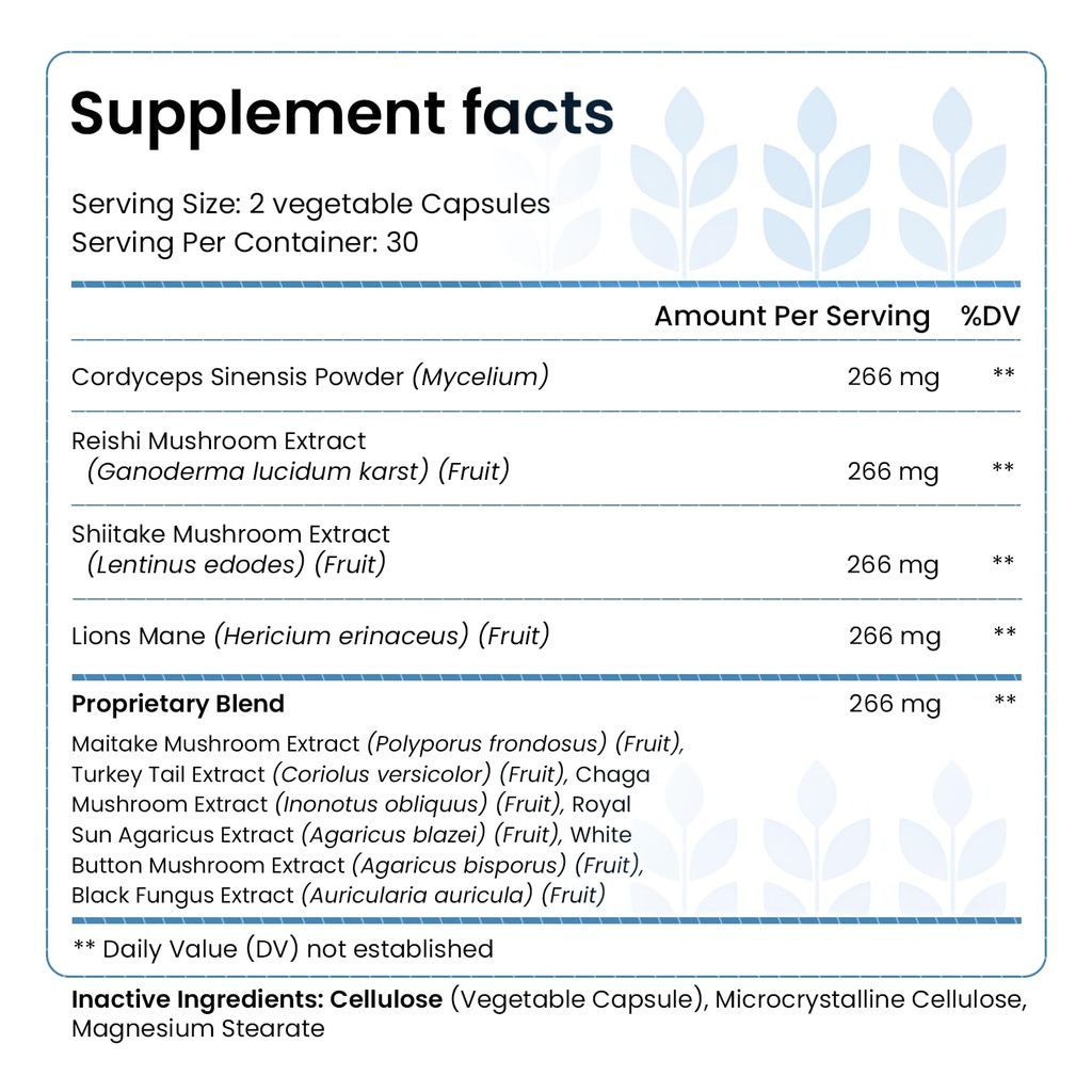 happy-brain-mushroom-complex-nootropics--2.jpg