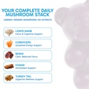 mushroom-gummies-for-focus-energy-lion-s-3.jpg