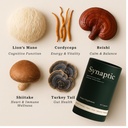 synaptic-lion-s-mane-mushroom-supplement-2.jpg