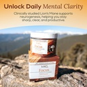 lions-mane-mushroom-gummies-for-focus-an-2.jpg