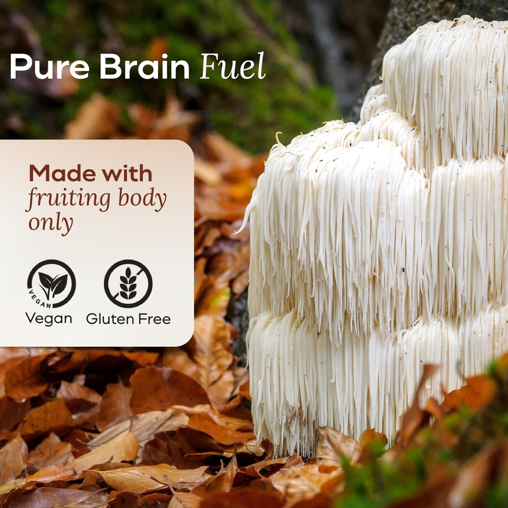 lions-mane-mushroom-gummies-for-focus-an-5.jpg