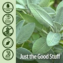 nature-s-answer-alcohol-free-sage-leaf-1-5.jpg