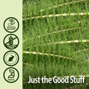 nature-s-answer-horsetail-extract-alcoho-5.jpg