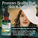 nature-s-answer-horsetail-extract-alcoho-4.jpg
