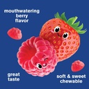 wellyeah-vitamin-b12-gummies-for-kids-bo-4.jpg