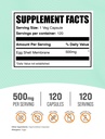 bulksupplements-com-egg-shell-membrane-c-2.jpg