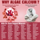 sugar-free-calcium-magnesium-zinc-gummie-5.jpg