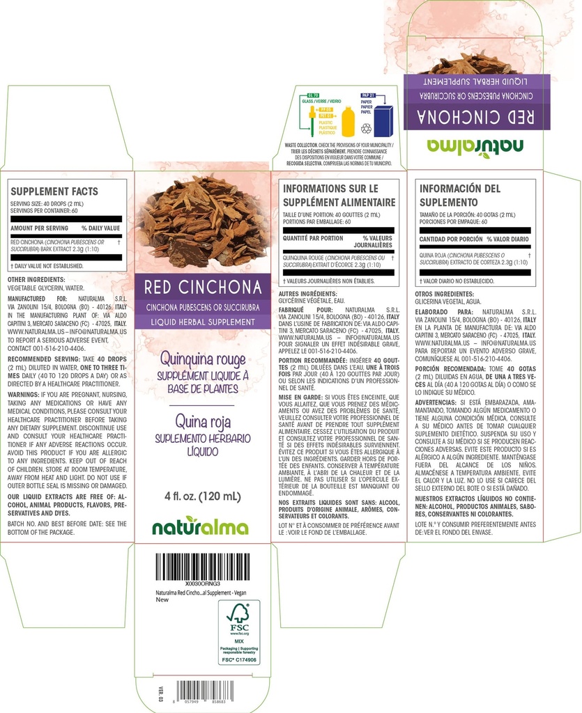 naturalma-red-cinchona-or-quinine-cincho-2.jpg