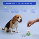 milk-thistle-for-dogs-120-chewable-table-2.jpg