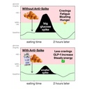 anti-spike-formula-by-the-glucose-goddes-5.jpg