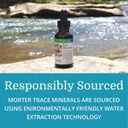 morter-trace-minerals-in-colloidal-suspe-5.jpg