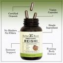 herbal-roots-organic-reishi-mushroom-cap-5.jpg