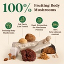 fidus-16-mushroom-supplement-powder-with-5.jpg