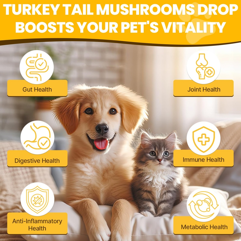 turkey-tail-mushroom-for-dogs-for-yeast--2.jpg