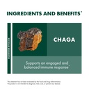 host-defense-chaga-powder-immune-system--6.jpg