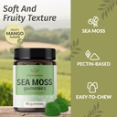 herbamama-sea-moss-gummies-1600-mg-true--4.jpg