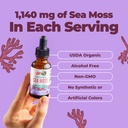 maryruth-s-organic-irish-sea-moss-liquid-5.jpg