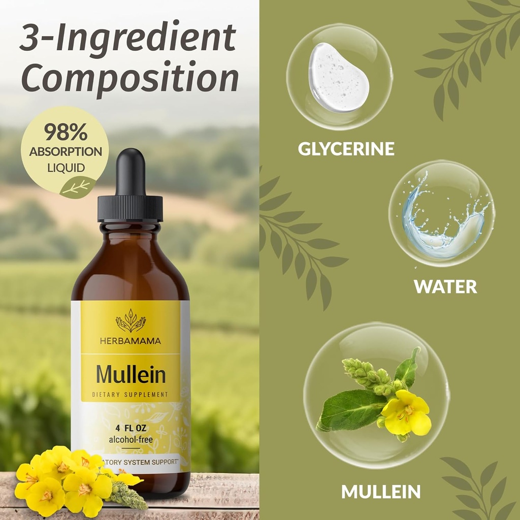 herbamama-mullein-leaf-extract-and-querc-6.jpg