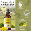 herbamama-mullein-leaf-extract-and-querc-6.jpg