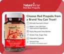 naturanectar-red-bee-propolis-capsules-n-3.jpg