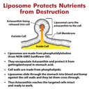 liposomal-astaxanthin-supplement-24mg-ma-5.jpg