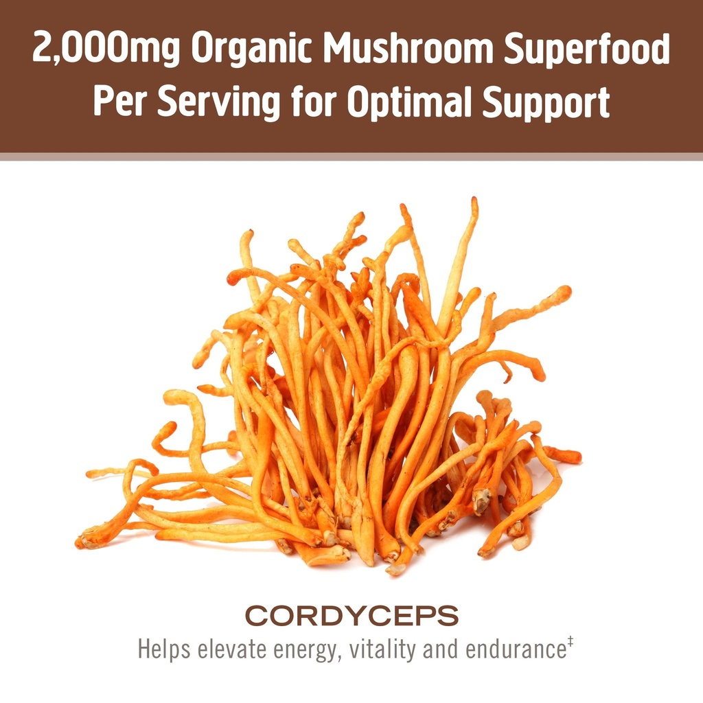 om-mushroom-cordyceps-powder-7-05-oz-100-4.jpg