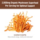 om-mushroom-cordyceps-powder-7-05-oz-100-4.jpg