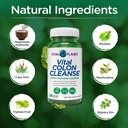 vital-planet-vital-colon-cleanse-14-day--3.jpg