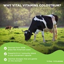 vital-vitamins-colostrum-supplement-vita-4.jpg