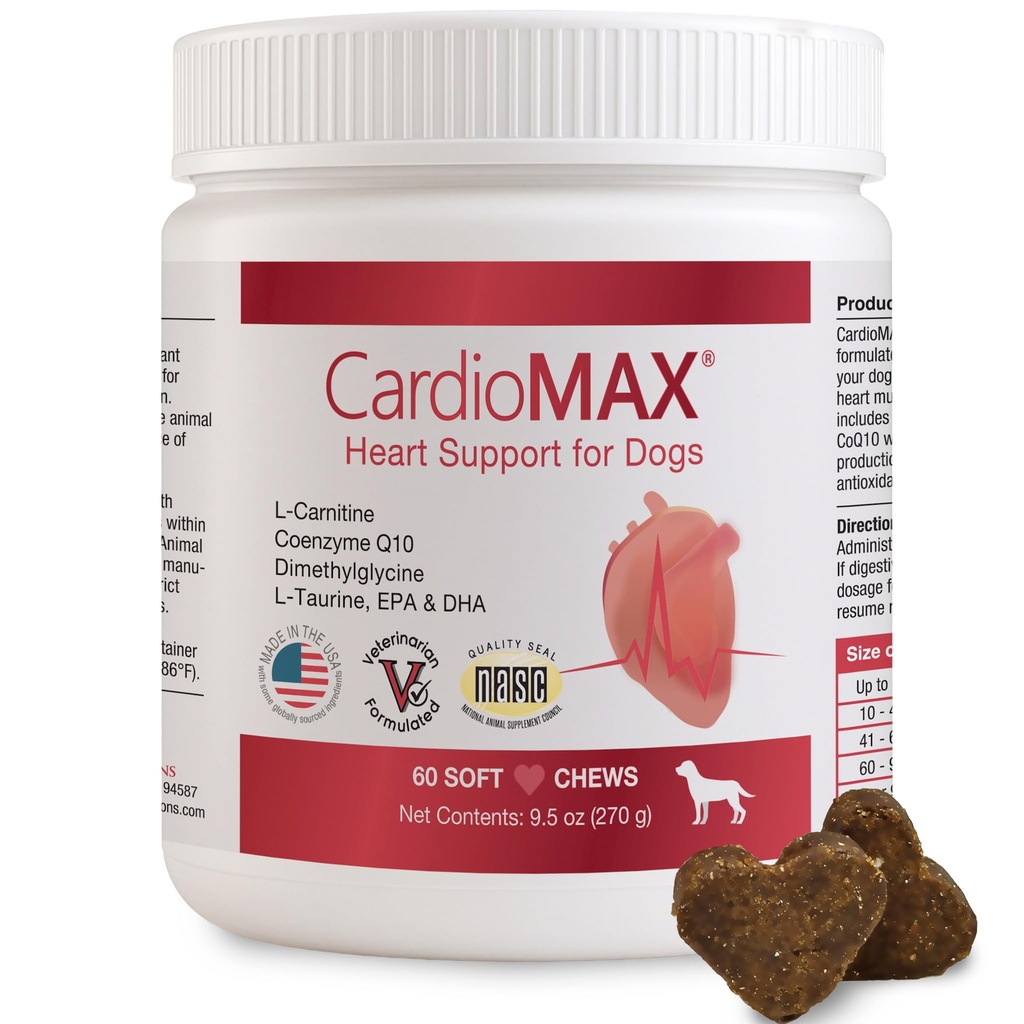 Supplément de soutien cardiaque pour chiens-formulés Vet, antioxydant-Rich-L-Taurine, L-Carnitine, EPA,DHA,CoQ10-Aids Force circulatoire, support cardiovasculaire, fonction musculaire du coeur-USA Made-60 Chews doux