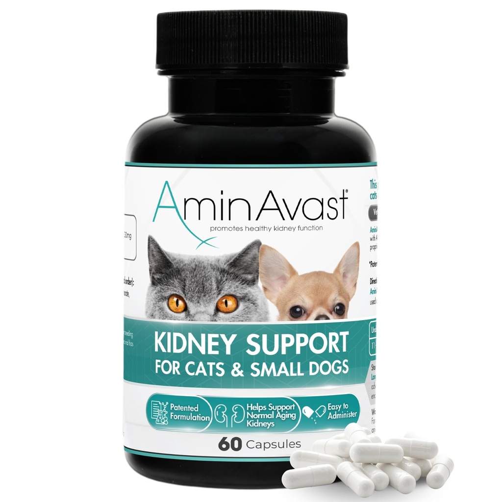 AminAvast Kleine honden & Kat Nierondersteuning - Bevordert gezonde nierondersteuning bij katten & kleine honden - 300mg, 60 Capsule