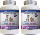 kat slechte adem Treats - CAT tanden gezondheid - geavanceerde mond gezondheid complex - Immune Boost - vitamine b12 voor katten - 2 flessen (120 tabletten)